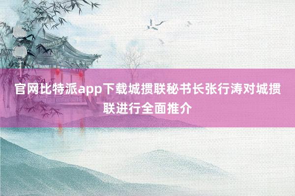 官网比特派app下载城掼联秘书长张行涛对城掼联进行全面推介